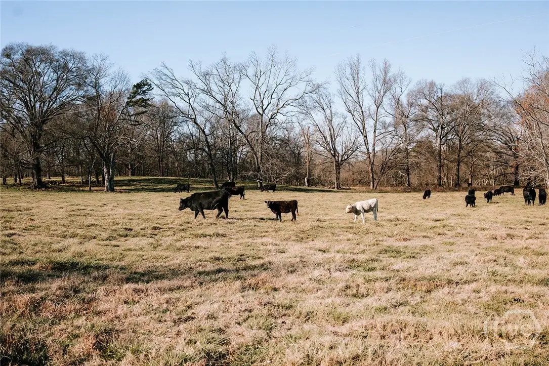 0 Ralph Bridges Road, Lexington, GA 30648 - #1