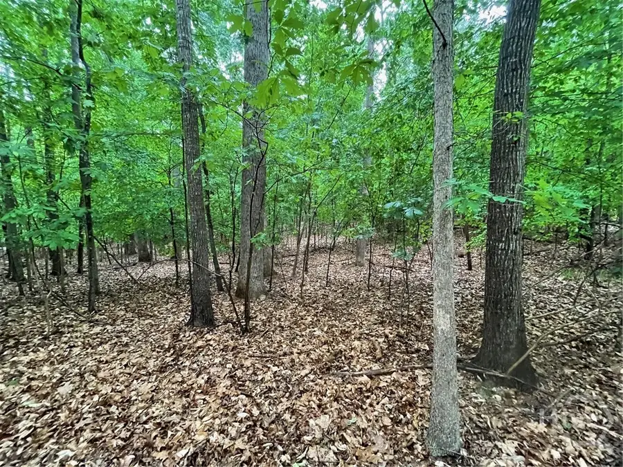 Lot 887 Nicklaus Road, Westminster, SC 29693 - #2
