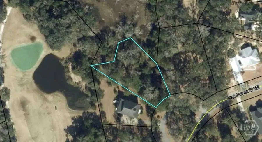 0 Oak Forest Drive Ne, Townsend, GA 31331 - #2