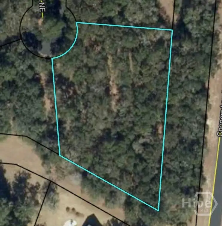 0 Blackberry Lane Ne, Townsend, GA 31331 - #1