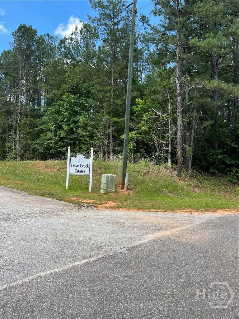 0 Stinchcomb Road, Elberton, GA 30635 - #2