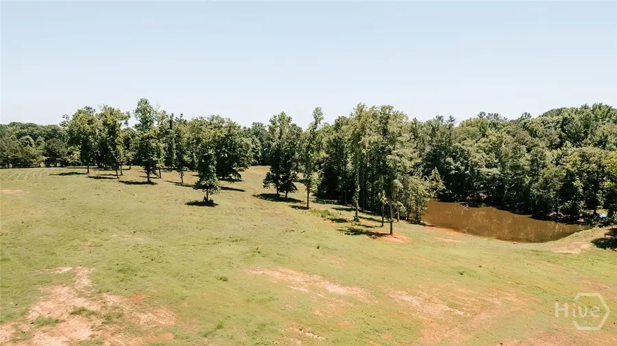 0 Mitchell Farm Road, Colbert, GA 30628 - #3