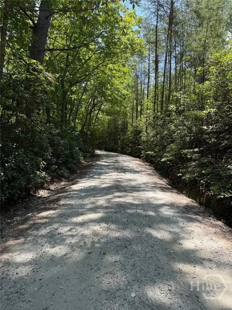 0 Crumley Creek Road #Tract 2, Sautee Nacoochee, GA 30571 - #1