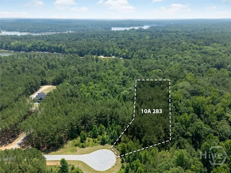 1217 Edge Lane, Tignall, GA 30668 - #3