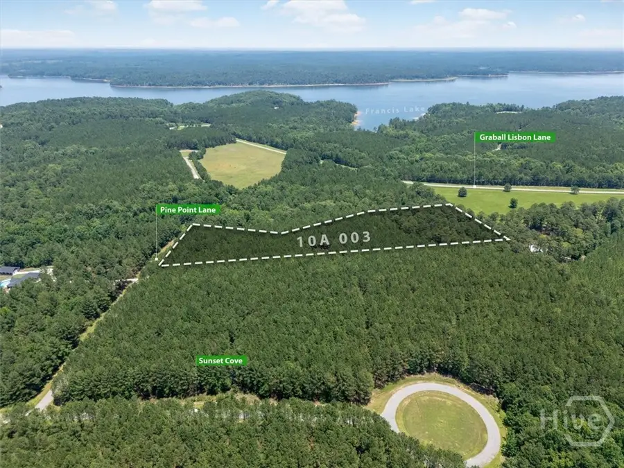 1053 Pine Point Lane, Tignall, GA 30668 - #3