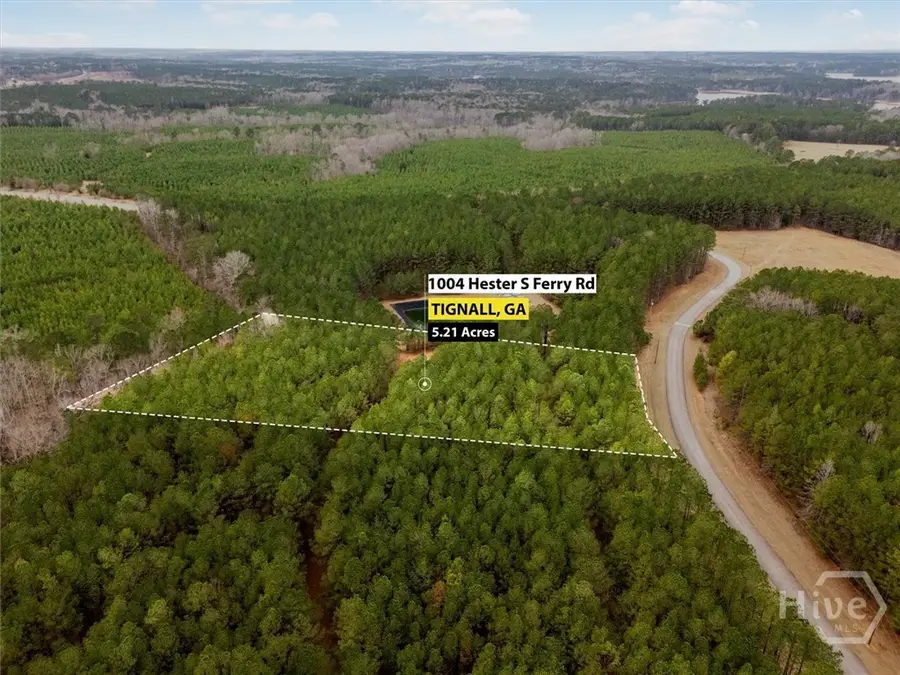 1004 Hesters Ferry Road, Tignall, GA 30668 - #2