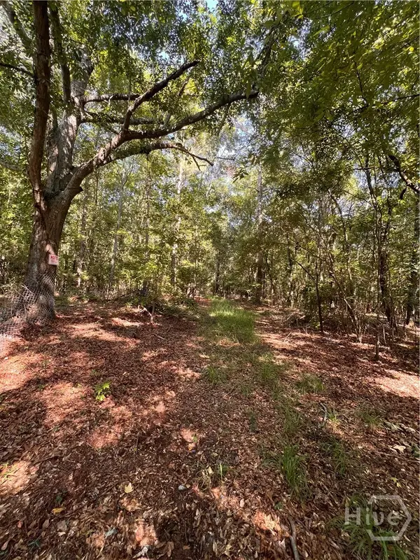 0 Rocky Drive, Colbert, GA 30628