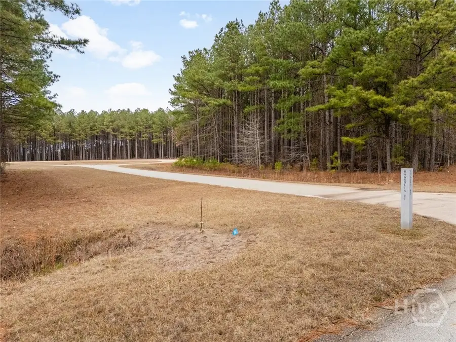 1325 Magnolia Court, Tignall, GA 30668 - #3