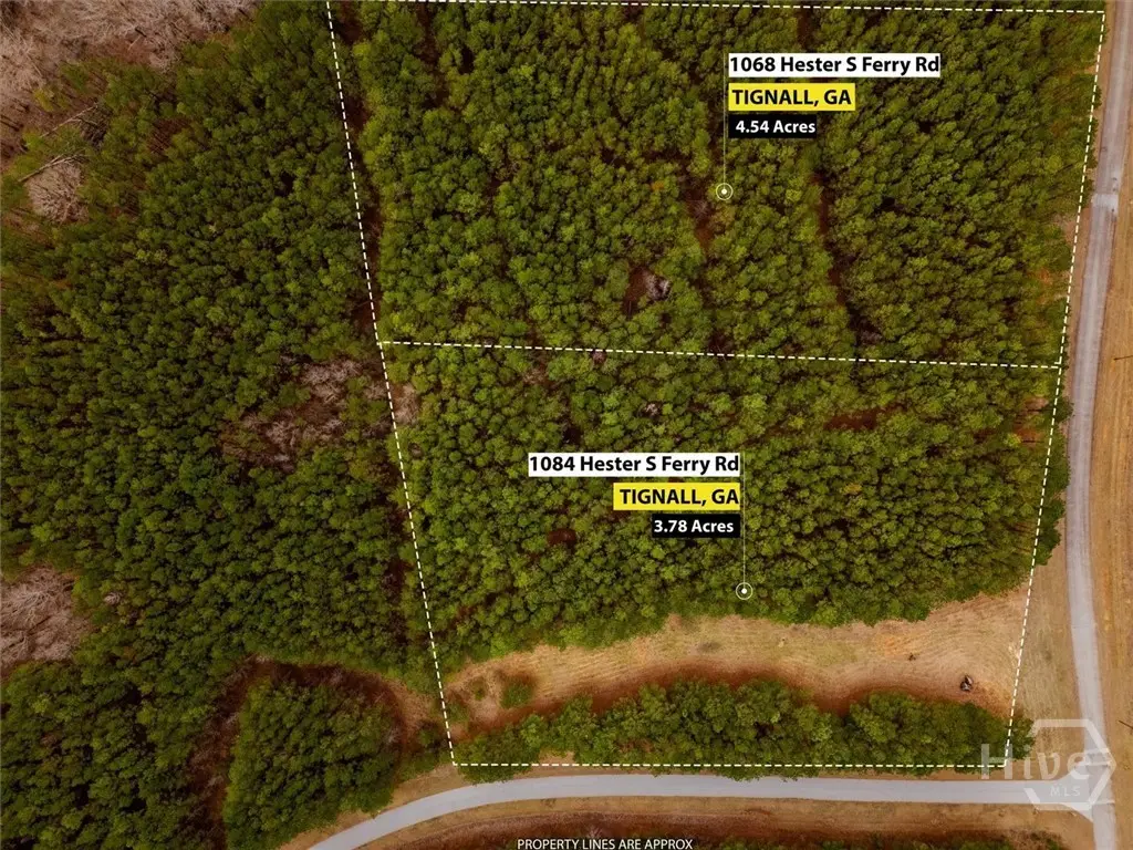 1068 Hesters Ferry Road, Tignall, GA 30668 - #1