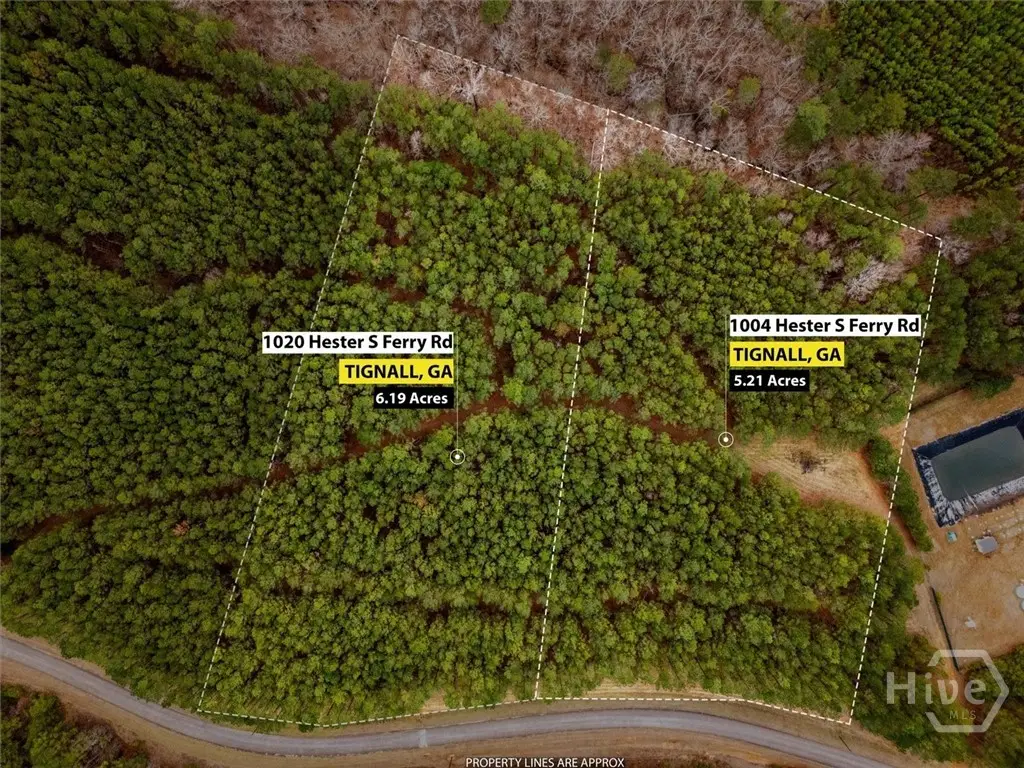 1004 Hesters Ferry Road, Tignall, GA 30668 - #1