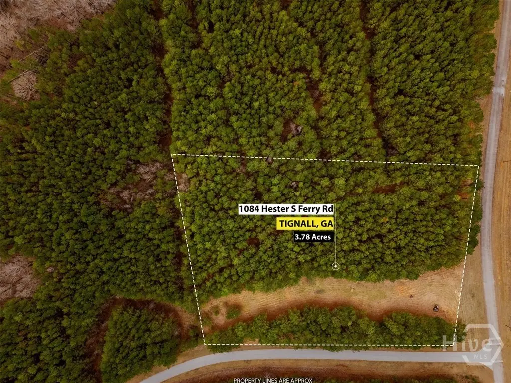 1084 S Hesters Ferry Road, Tignall, GA 30668 - #1