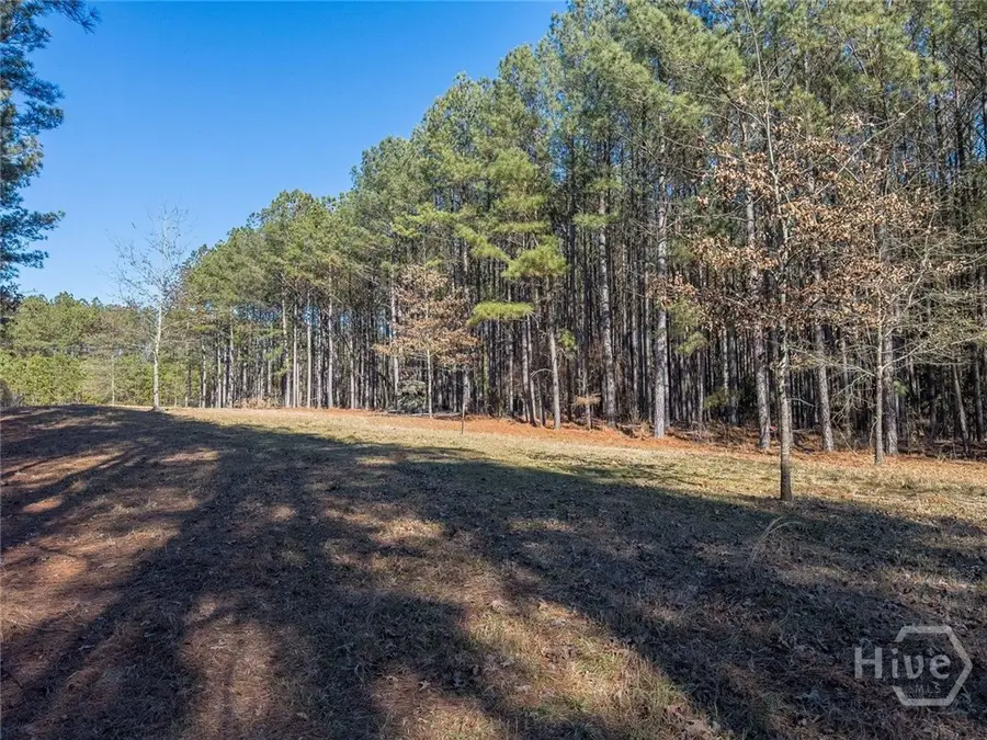 Address Withheld By Seller, Tignall, GA 30668 - #3