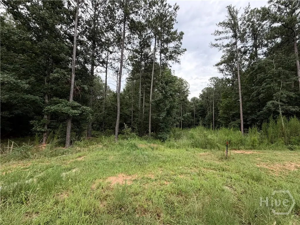 0 Spratlin Court, Hull, GA 30646 - #1