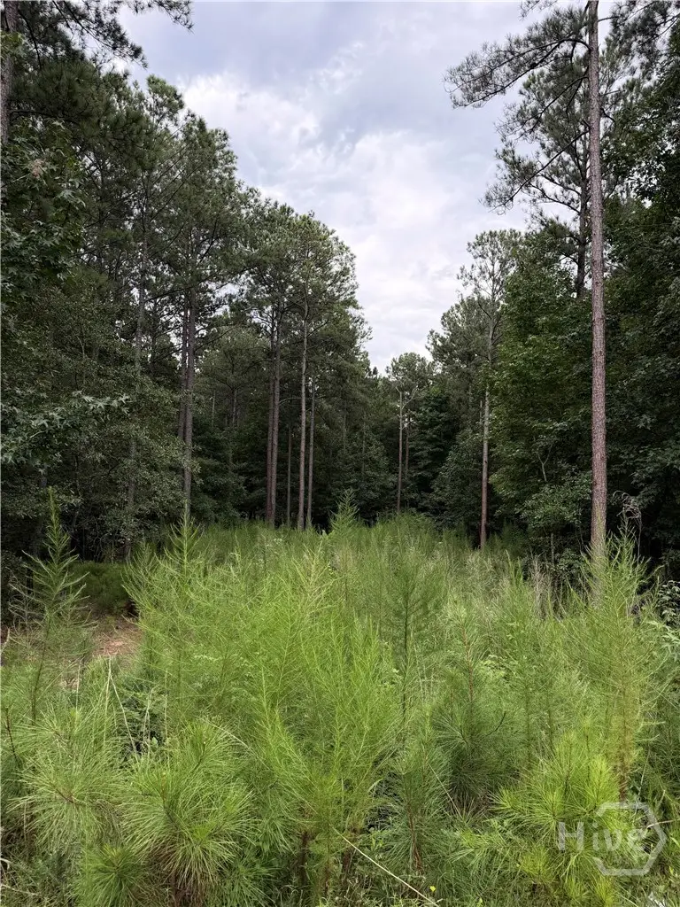 0 Spratlin Court, Hull, GA 30646 - #3
