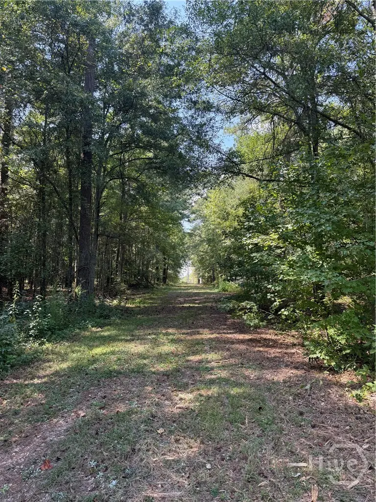 00 Monroe Highway, Bethlehem, GA 30620 - #3