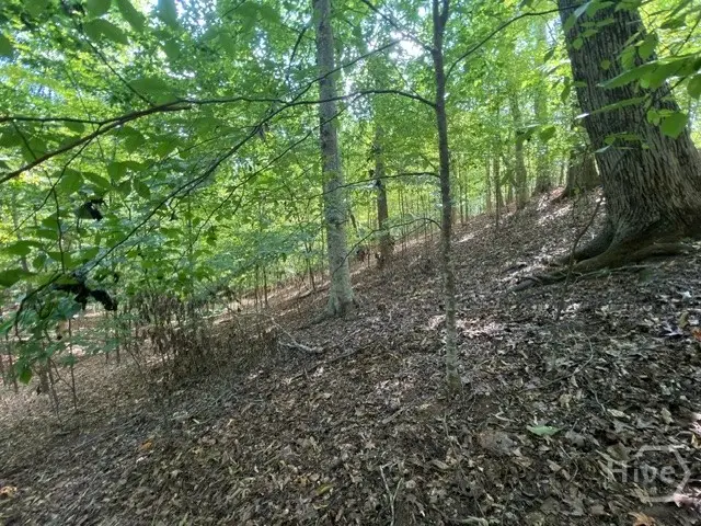 Lot 1643 Cranberry Lane, Westminster, SC 29693 - #1