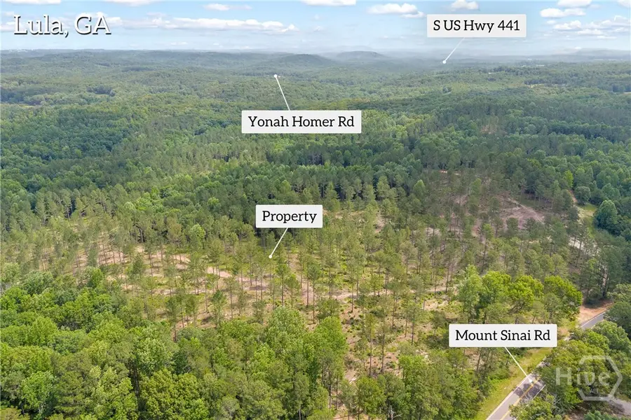0 Mt. Sinai #lot 8, Lula, GA 30554 - #3