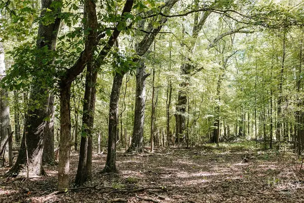 0 Lundburg Road, Washington, GA 30673