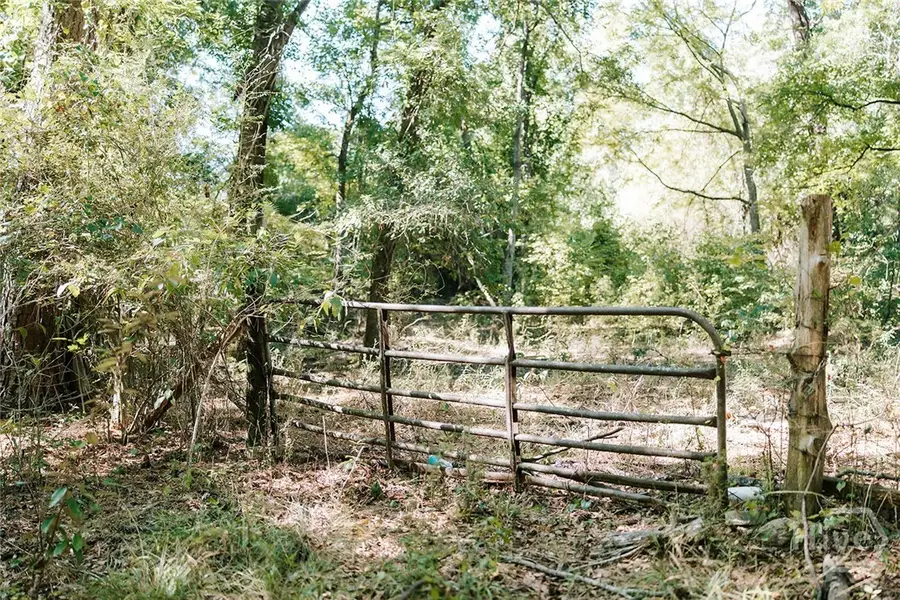 0 Lundburg Road, Washington, GA 30673 - #3