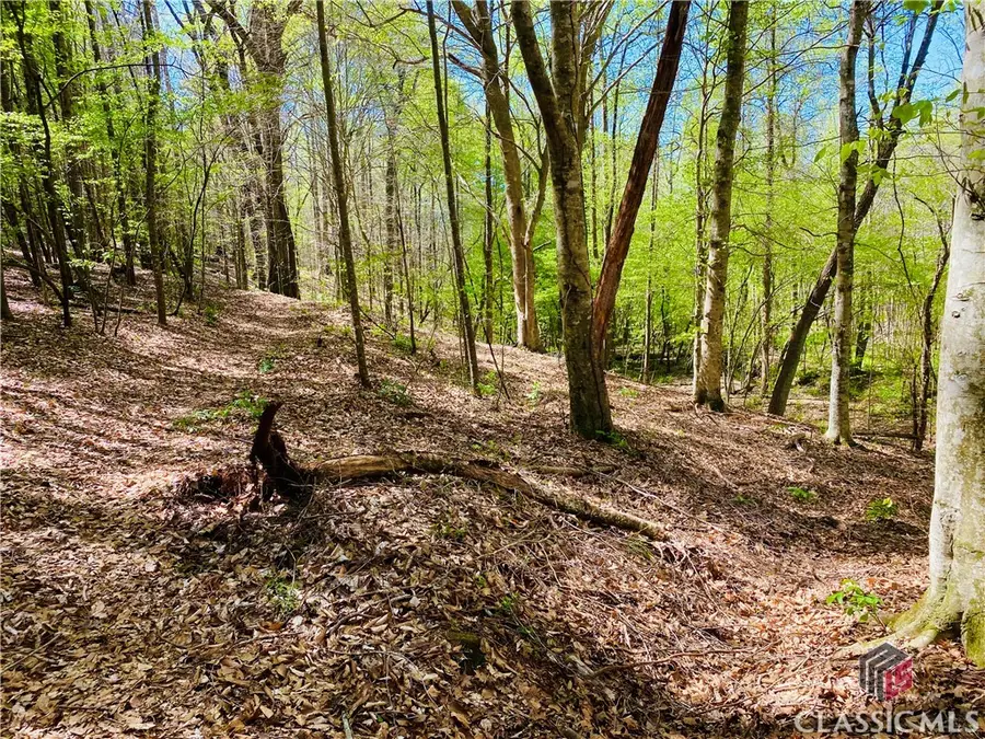 0 Winding Oak Ridge Road #7, Athens, GA 30607 - Image #3