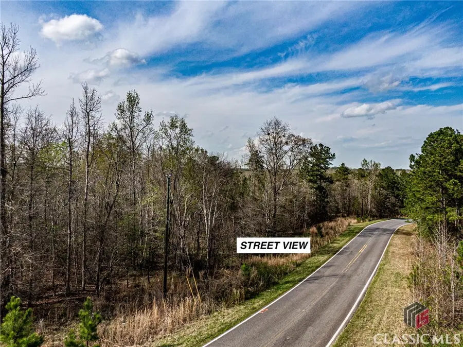 Lot 1 Old Copelan Road, Eatonton, GA 31024 - #2