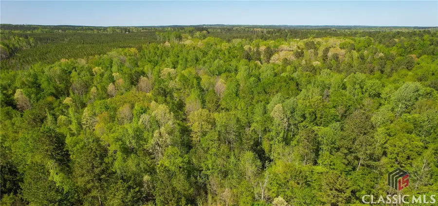 Lot 15 Old Copelan Road, Eatonton, GA 31024 - #2