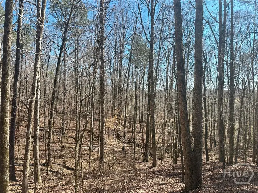 1181 Old Barnett Shoals Road, Elder, GA 30605 - Image #3