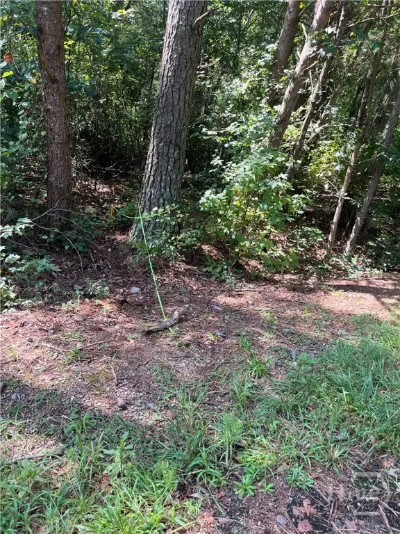 196 Tony Drive #20, Hartwell, GA 30643 - Image #2