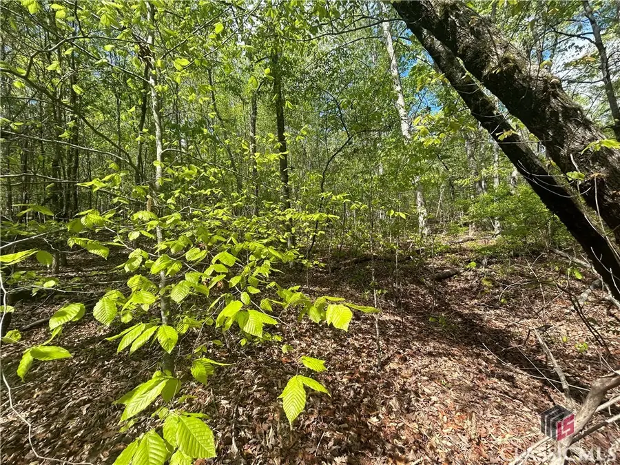 0 Shore Crest Drive #15, Martin, GA 30557 - #2