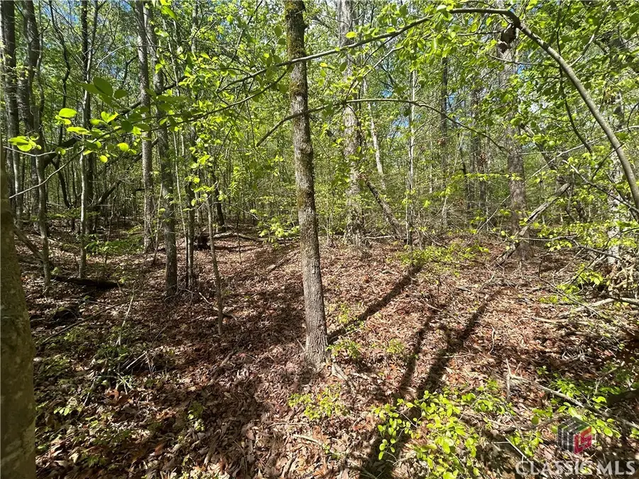 0 Shore Crest Drive #15, Martin, GA 30557 - #3