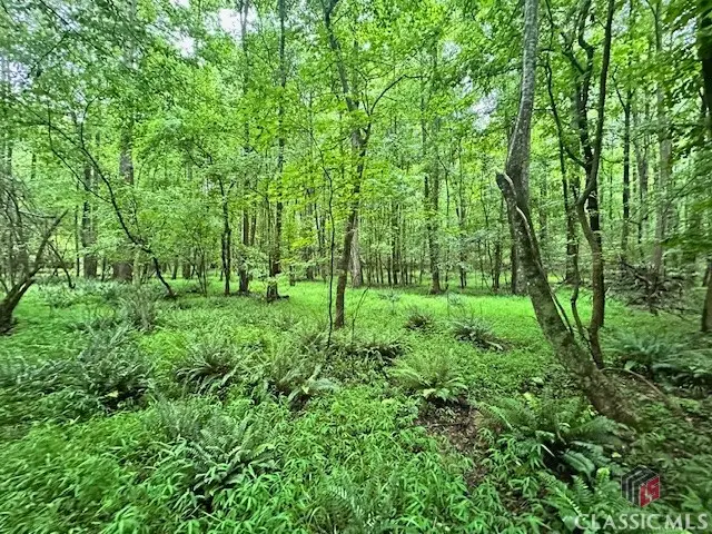 0 Cedar Lane, Danielsville, GA 30633 - Image #1