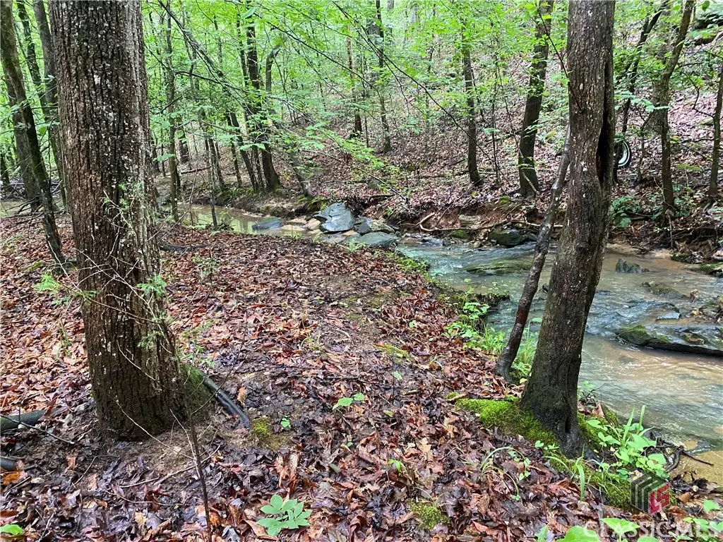 0 Far-a-way Road, Elberton, GA 30635 - #1