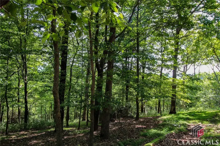 8088 Ridgeview Drive, Jasper, GA 30143 - #3