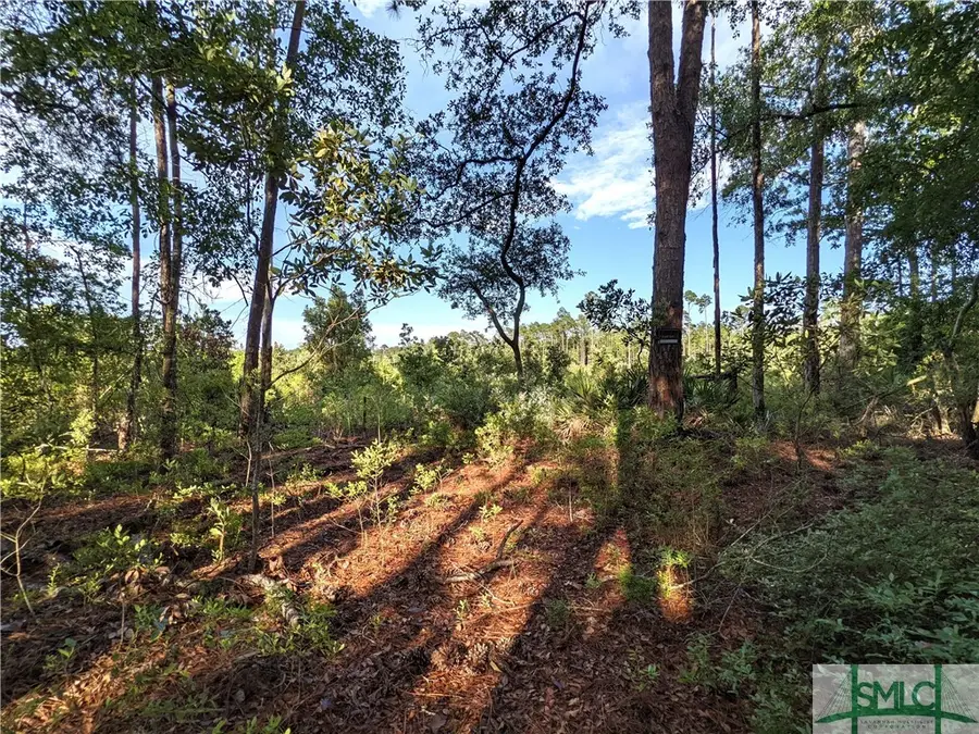 0 Fort Argyle Road, Savannah, GA 31419 - Image #2