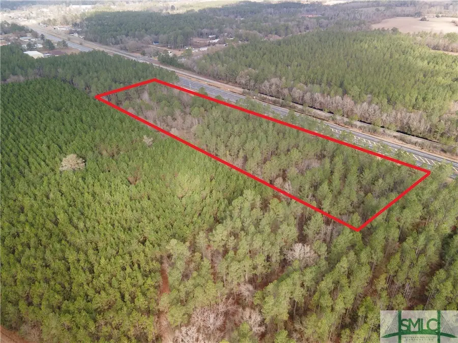 10.00 AC Hwy 341 / Odum Highway, Odum, GA 31555 - Image #2