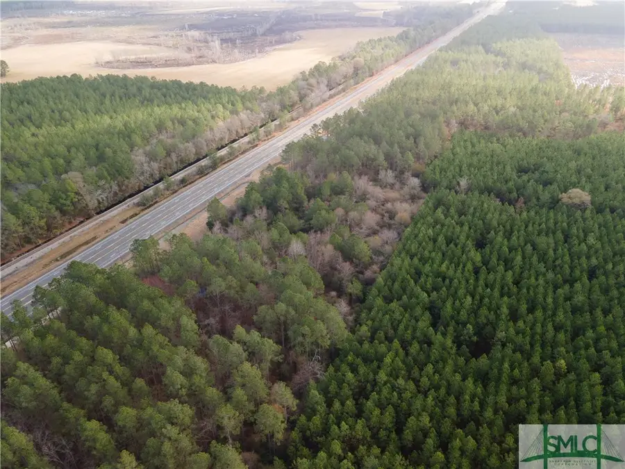 10.00 AC Hwy 341 / Odum Highway, Odum, GA 31555 - Image #3