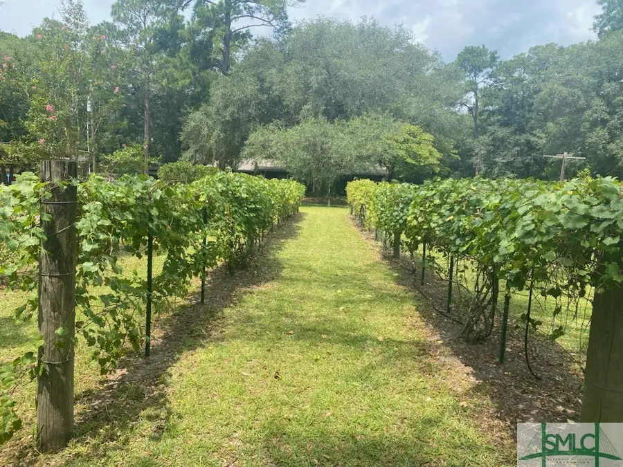 1165 Chimney Road, Rincon, GA 31326 - Image #3