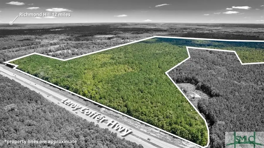 262.44 AC Leroy Coffer Highway, Fleming, GA 31309 - Image #3