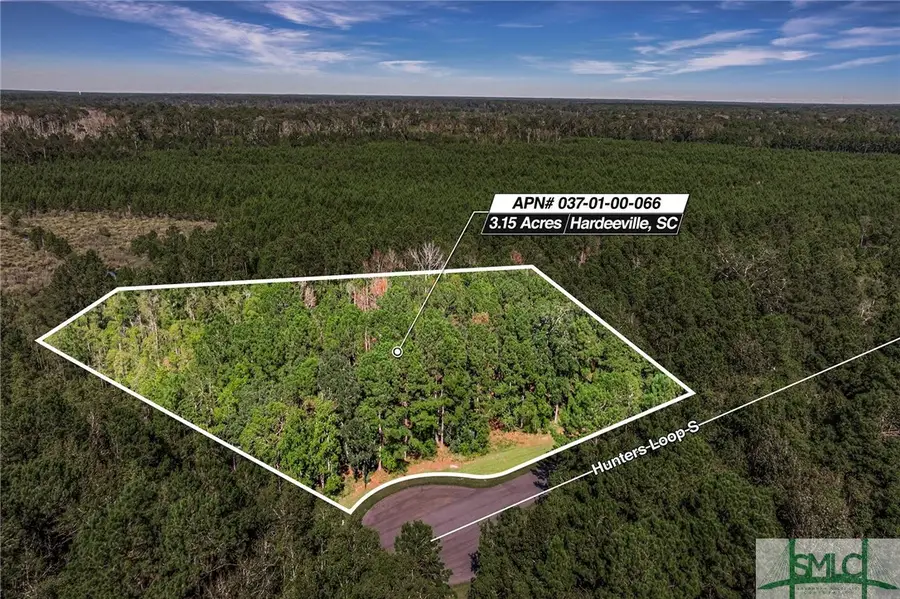 2290 Hunter's Loop Loop S, Hardeeville, SC 29927 - Image #3