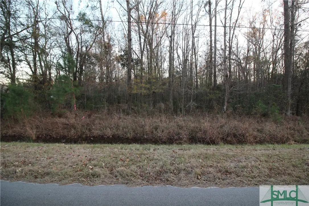 366 Big Estates Circle, Yemassee, SC 29945 - Image #1