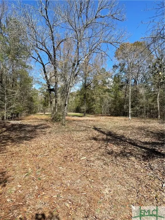 0 Fish Road, Newington, GA 30446 - Image #2