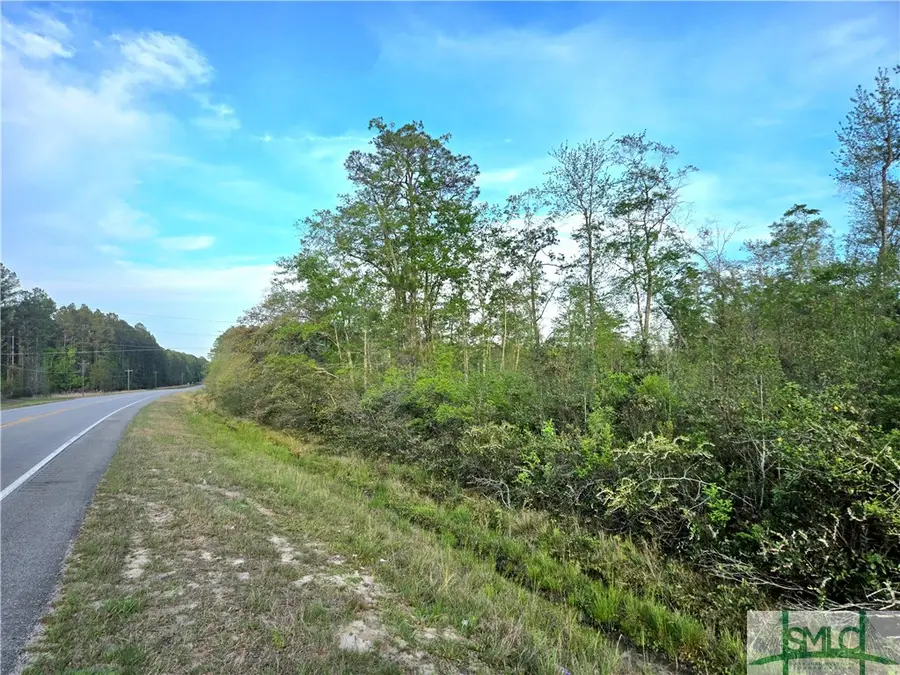 0 Ga 204 Highway, Ellabell, GA 31308 - Image #3