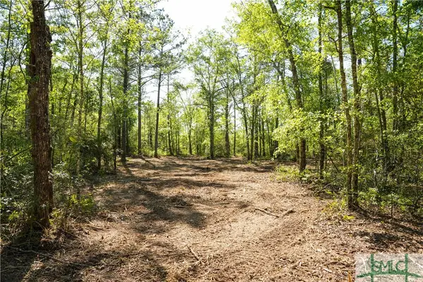 0 Floyd Road Road #Lot 8, Pembroke, GA 31321