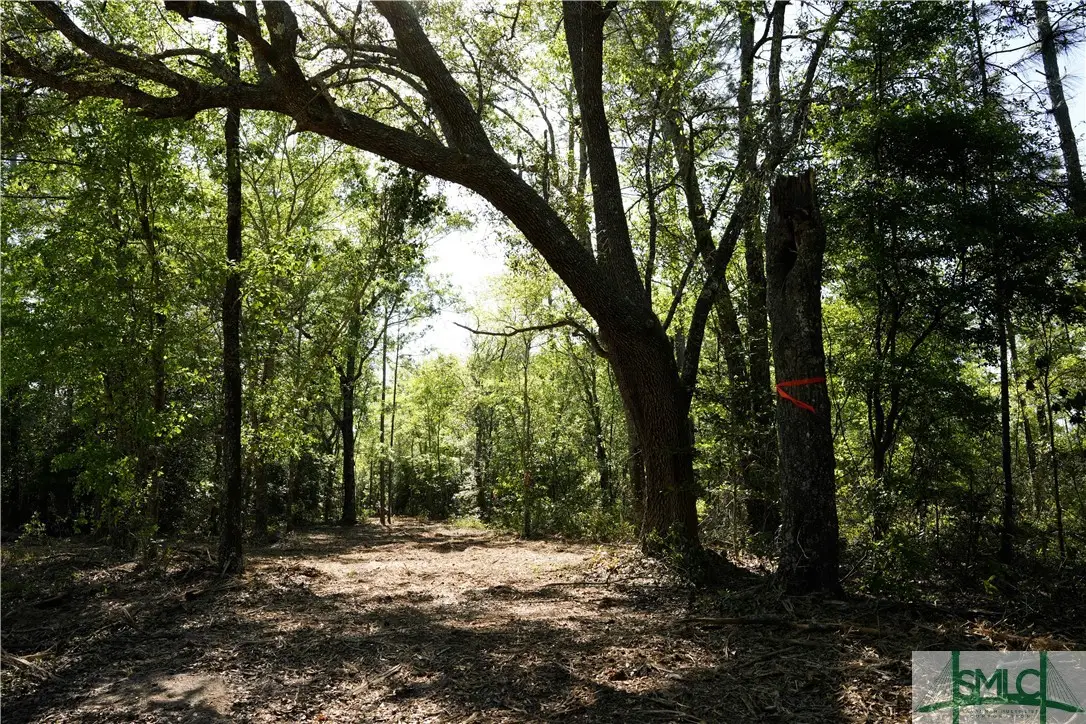0 Floyd Road #Lot 9, Pembroke, GA 31321 - Image #1