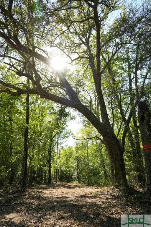 0 Floyd Road #Lot 9, Pembroke, GA 31321 - Image #2