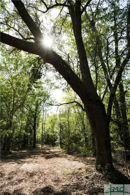 0 Floyd Road #Lot 9, Pembroke, GA 31321 - Image #3