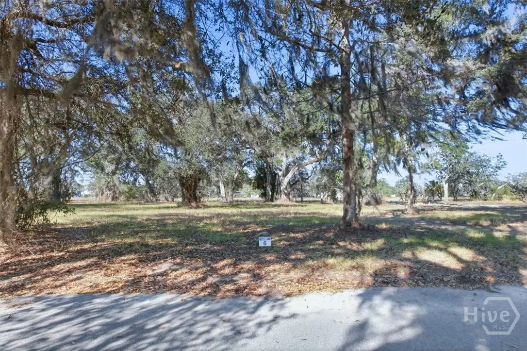 LOT 6 Bermuda Bluff Lane, Midway, GA 31320 - #1