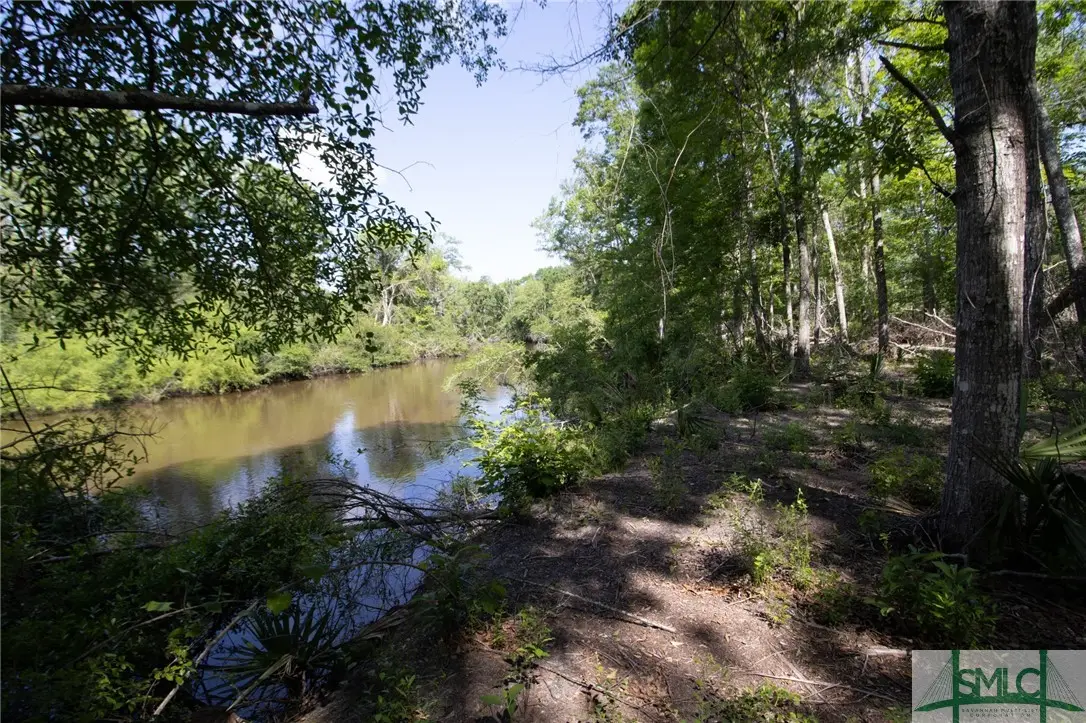 Lot 22 The River Landing Road, Midville, GA 30441 - Image #1