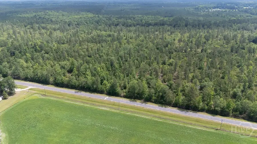 0 Old Louisville Road #Lot 1, Guyton, GA 31312 - Image #3