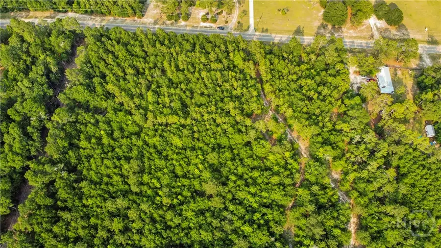 0 Halcyondale Road, Sylvania, GA 30467 - Image #2